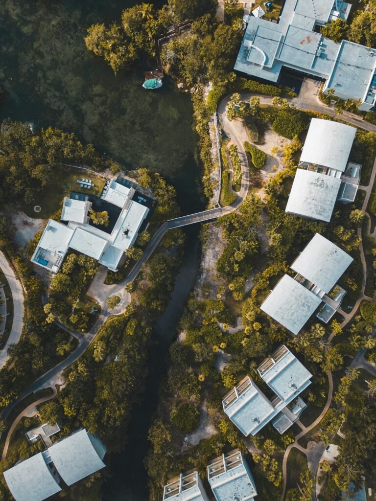 pexels-willianjusten-16116226